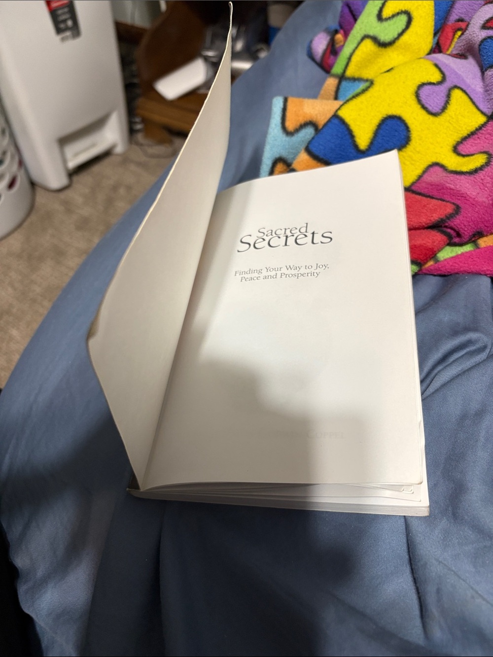 Sacred Secrets by Paula Godwin Coppel — Yellow and Brown Cover - Picture 11 of 11